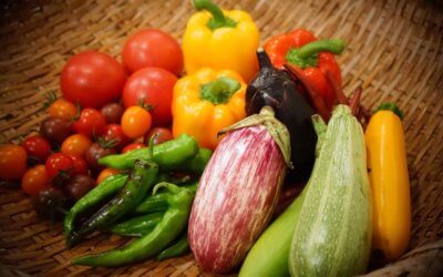 畜産堆肥が「オールインワンの有機肥料へ」！？