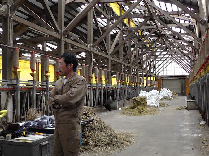 飛騨かわい 畜産 ファーム 牧場
