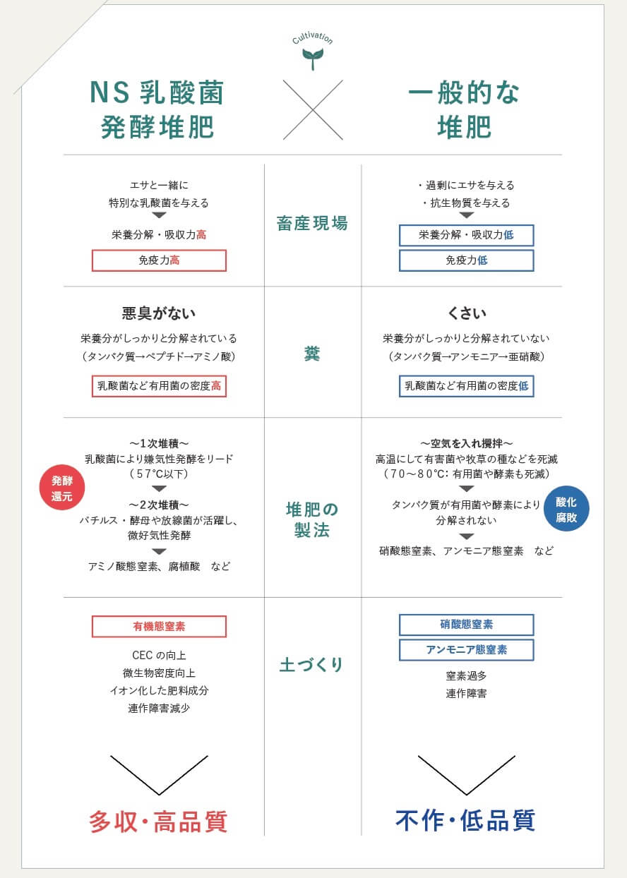 NS 乳酸菌 発酵堆肥 一般的な堆肥との違い チャート