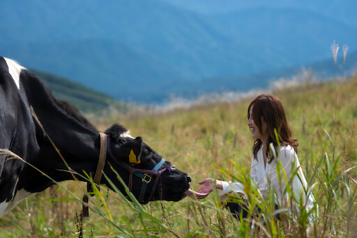 藤原孝史 社会的農業ラボ 所長 フンコロガシ 高山市