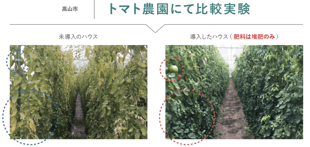 トマト リバイブソイル 有機堆肥 有機肥料 農園 有機栽培